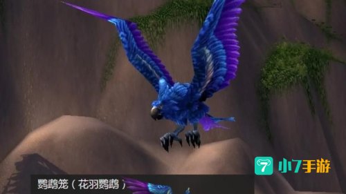 魔兽世界花羽鹦鹉