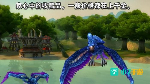 魔兽世界花羽鹦鹉