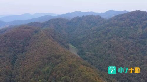 贵州省望谟县以种植什么而闻名